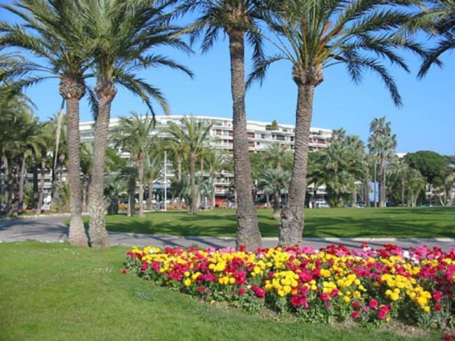 Cannes Palm Beach Parking, Clim, Wifi Plage 2' A Pieds Exterior photo